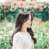 Don't forget me (Single)