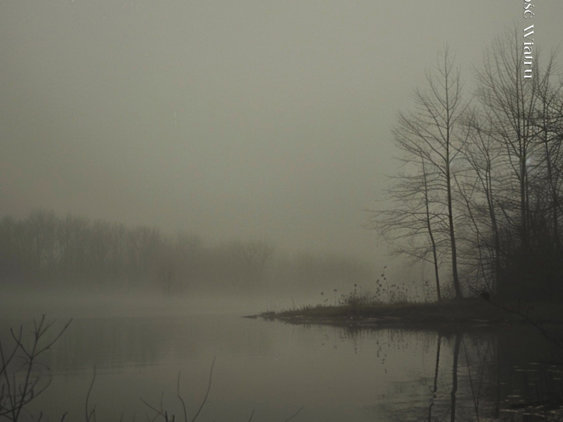 Cichość Wiatru (Single)