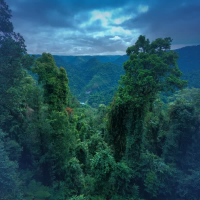 Strong Tropical Thunderstorm in Australia (Single)