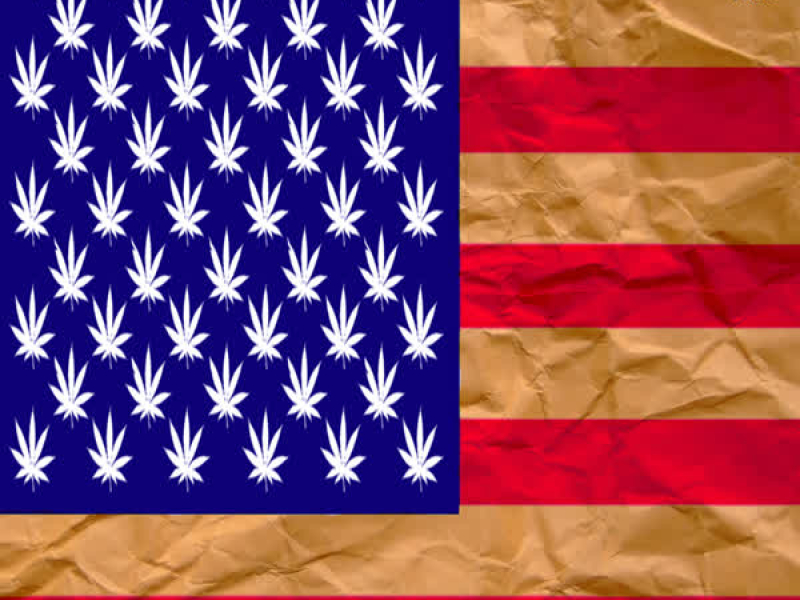 The Best of Gonzoe 2