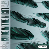 Guide In The Night (Single)