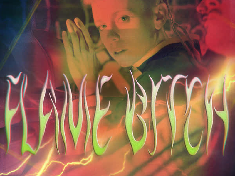 Flame Bitch (Single)