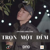 Trọn Một Đêm (Single)