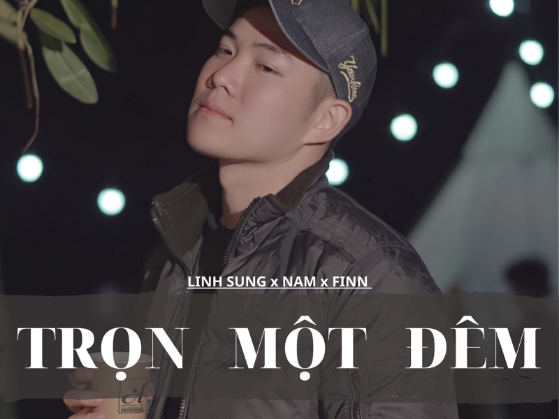 Trọn Một Đêm (Single)