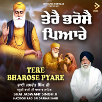 Tere Bharose Pyare (Single)