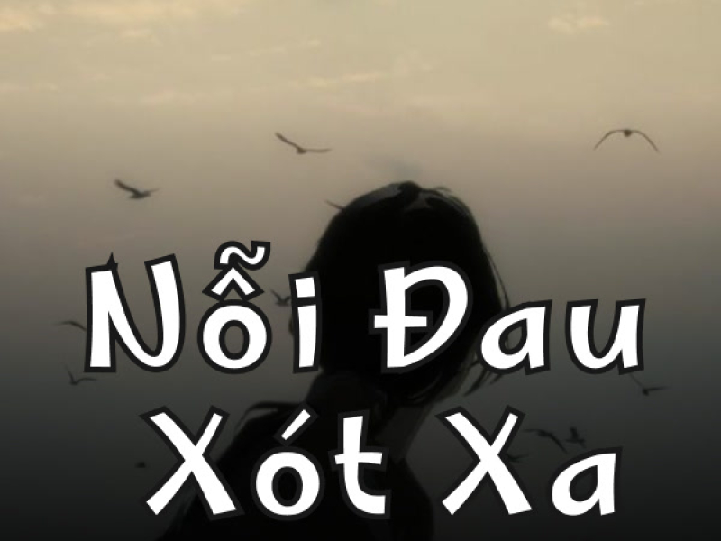 Nỗi Đau Xót Xa (Lofi Meme) (Single)