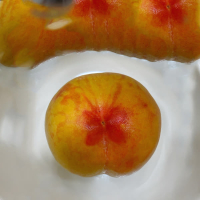 Jungle Bike (Single)