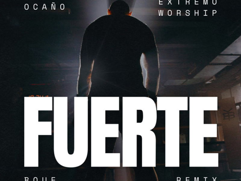 Fuerte (Remix) (Single)