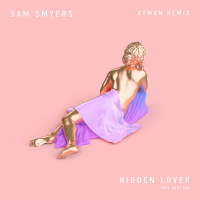 Hidden Lover (Vymvn Remix) (Single)