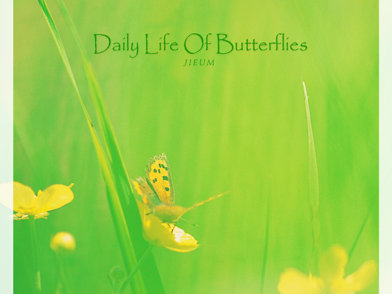 Daily Life Of Butterflies (Single)