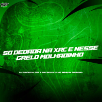 SÓ DEDADA NA XRC E NESSE GRELO MOLHADINHO (Single)