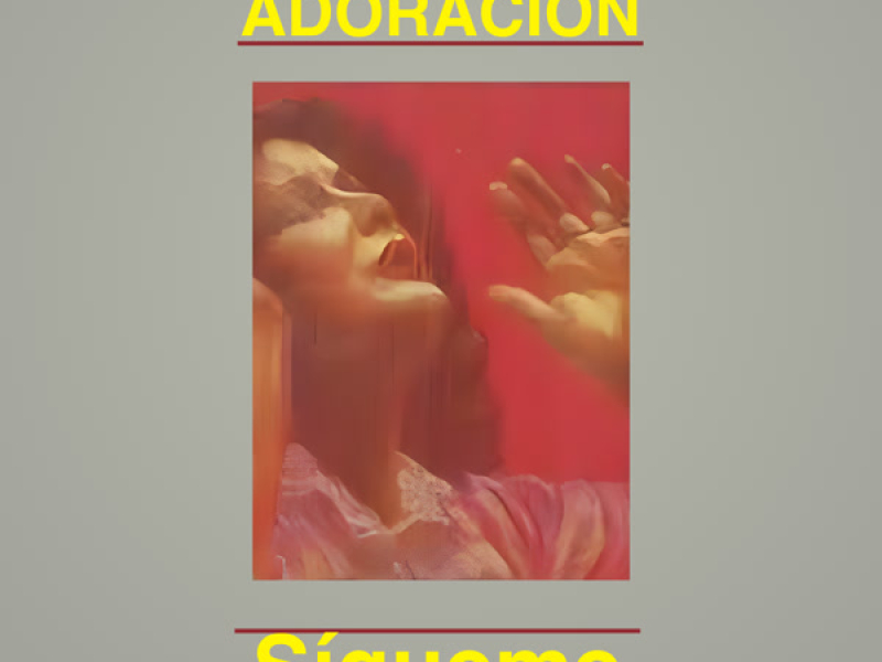 Mi Adoracíon - Sígueme