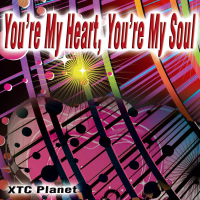 You're My Heart, You're My Soul - Single