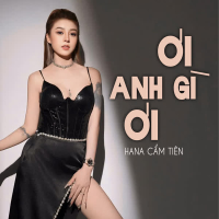 Ơ Cái Anh Gì Ơi (DJ Lucy Remix) (Single)