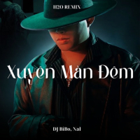 Xuyên Màn Đêm (DJ Bibo Remix) (Single)