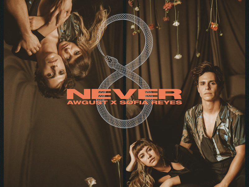 Never (Single)