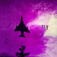 Fly (Single)