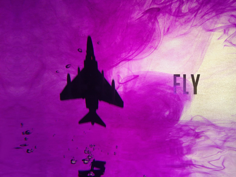 Fly (Single)