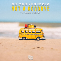 Not a Goodbye (Single)