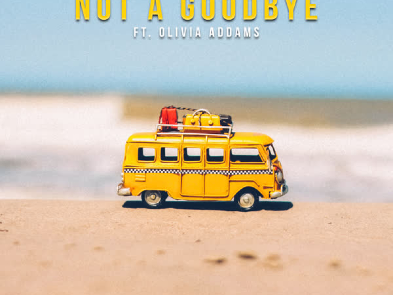 Not a Goodbye (Single)