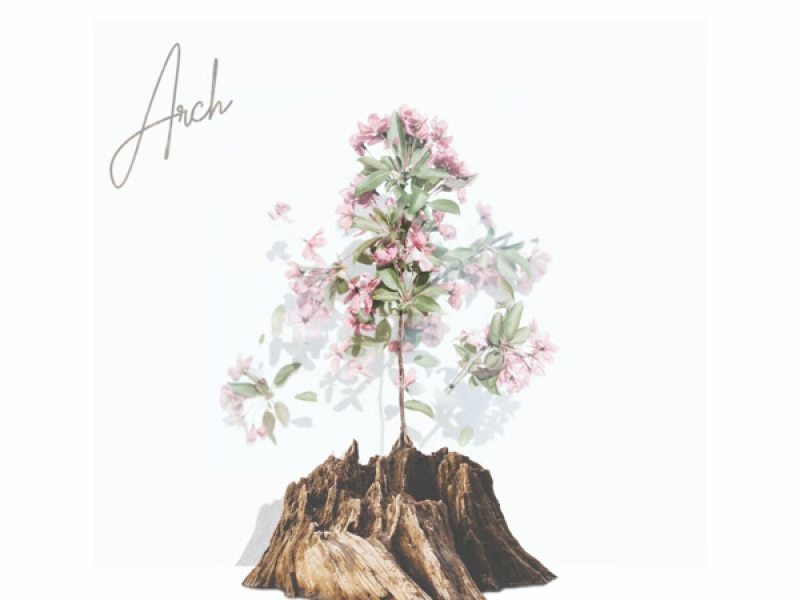 Arch (Single)