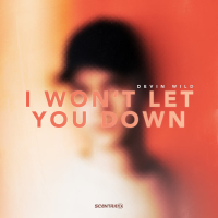 I Won't Let You Down (Single)
