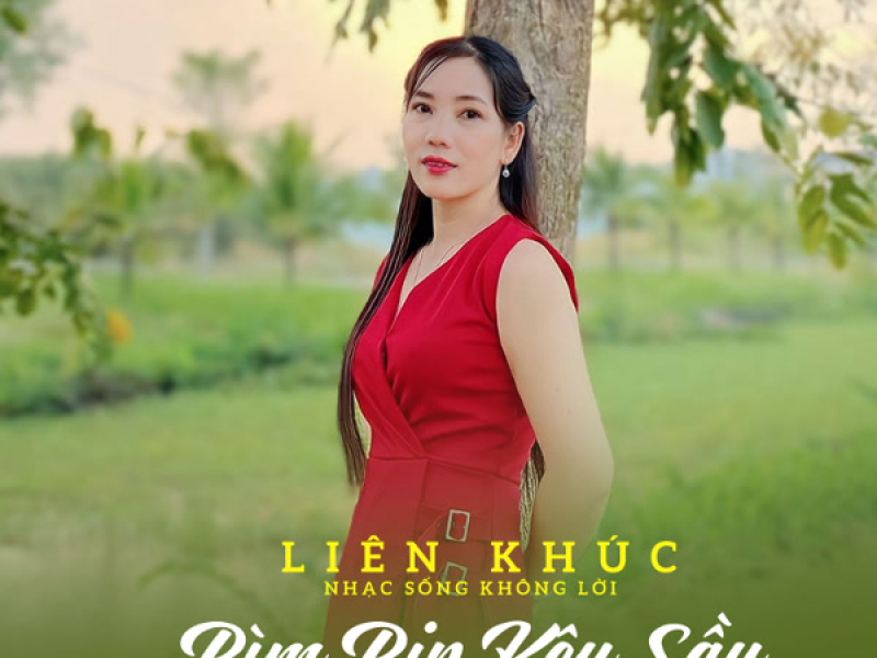 Liên Khúc Nhạc Sống Không Lời - Bìm Bịp Kêu Sầu
