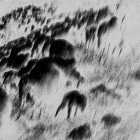 Star Solo (Demo 2009) (Single)