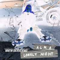 Lonely Night (Martin Solveig Remix) (Single)