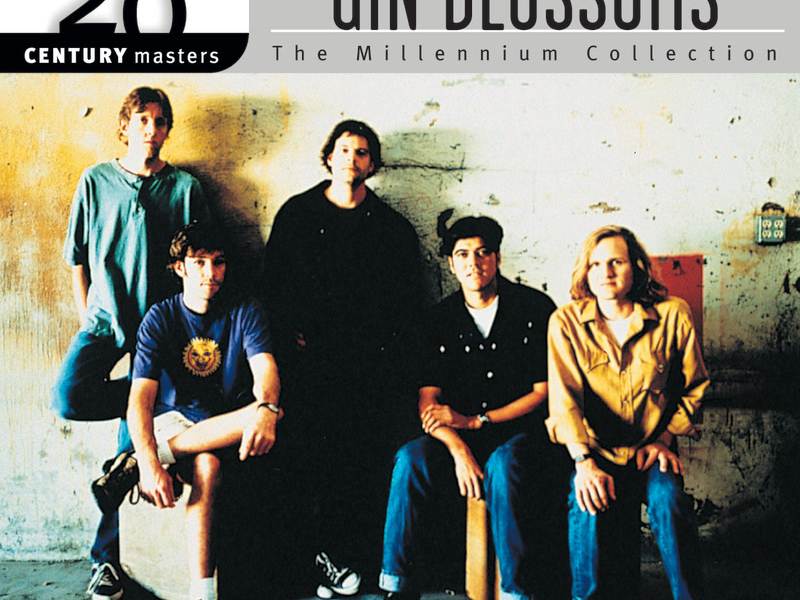 The Best Of Gin Blossoms 20th Century Masters The Millennium Collection