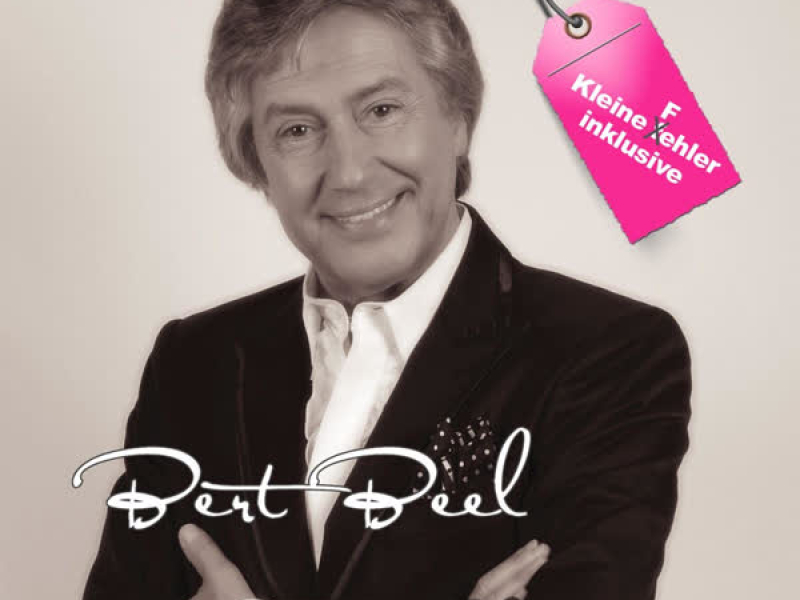 Kleine Fehler Inklusive (Single)