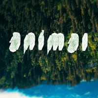 Animal (EP)