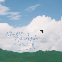你说你向往高山 向往飞鸟 (Single)