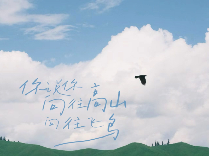 你说你向往高山 向往飞鸟 (Single)