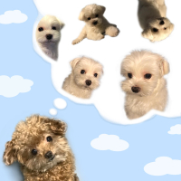 How Can A Day Go By Like This (Single)