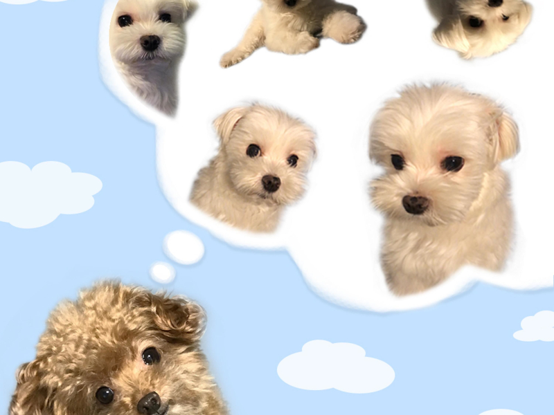 How Can A Day Go By Like This (Single)