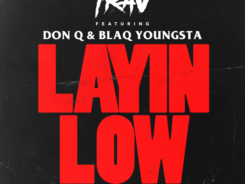 Layin Low (feat. Don Q & Blac Youngsta)