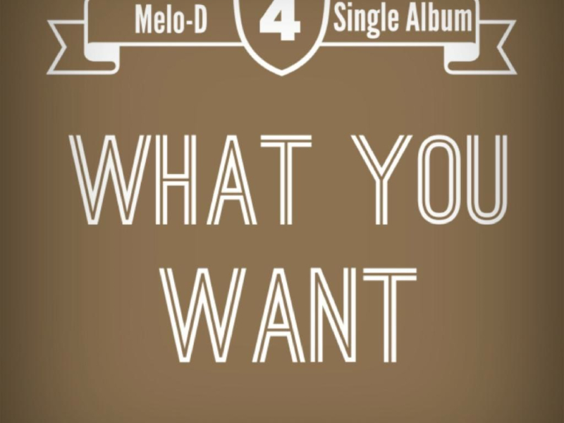 What You Want (Single)