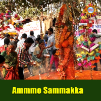 Ammmo Sammakka (Single)