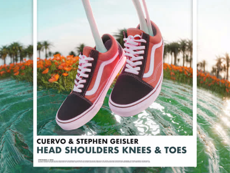 Head Shoulders Knees & Toes (Single)