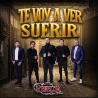 Te Voy a Ver Sufrir (Single)