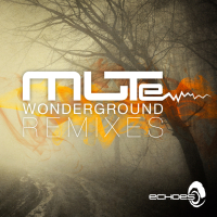 Wonderground - Remixes (EP)