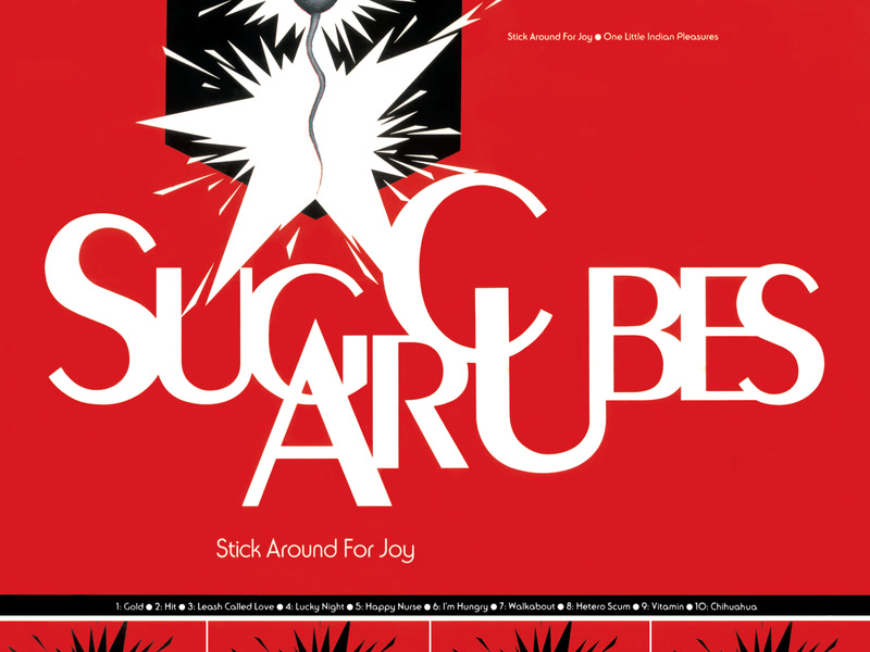 Stick Around For Joy