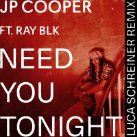 Need You Tonight (Luca Schreiner Remix) (Single)