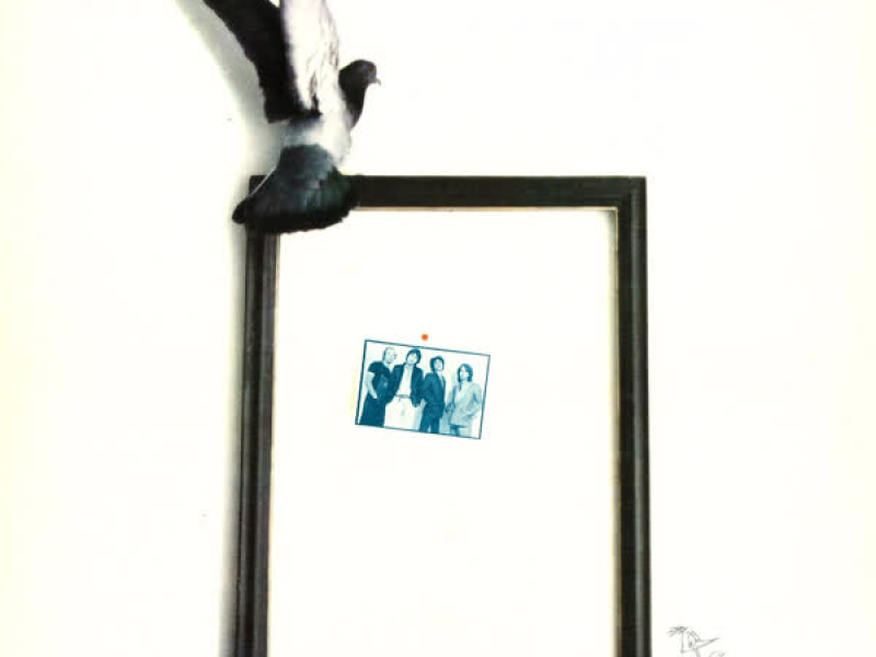 Ja Sam Samo Jedan Od Mnogih Sa Gitarom