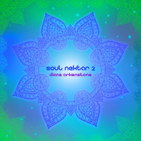 Soul Nektar 2