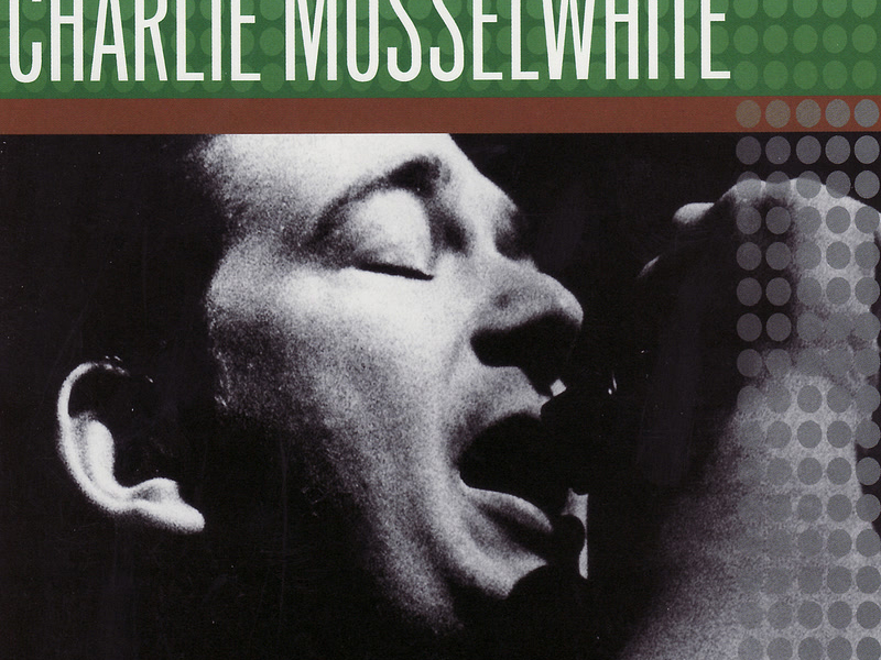 Vanguard Visionaries