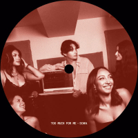 TOO MUCH FOR ME (Single)