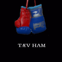 Tæv Ham (Single)