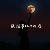 敬往事杯中沉浮 (情感语录你只是路过) (Single)